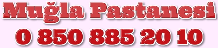 Mu�la do�um g�n� pastas� ya� pasta �e�itleri yolla g�nder