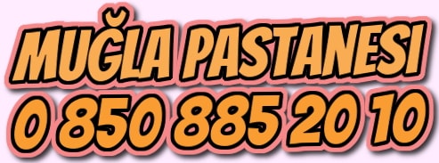 Mu�la do�um g�n� ya� pasta sipari�i yolla g�nder