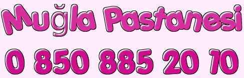 Mu�la ya� pasta �e�itleri do�um g�n� pastas� yolla g�nder