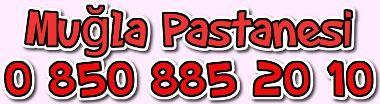 Mu�la ya� pasta �e�tileri ya� pasta sipari�i do�um g�n� pastas� yolla g�nder