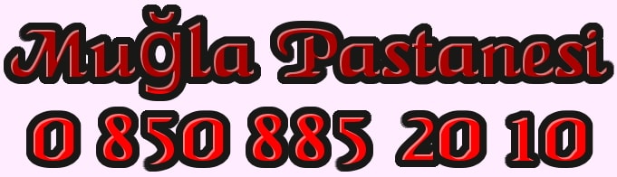 Mu�la ya� pasta �e�itleri do�um g�n� pastas� yolla g�nder