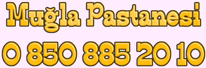 Mu�la pastanesi pastaneler pastac�lar ya� pasta �e�itleri sipari�i yolla g�nder