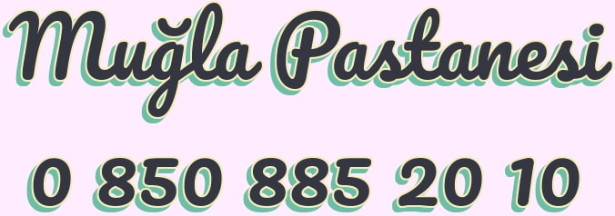 Mu�la ya� pasta �e�itleri do�um g�n� pastas� yolla g�nder